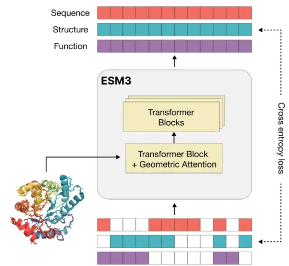 مدل زبانی ESM3، تولید و تکامل پروتئین‌ها به کمک هوش مصنوعی